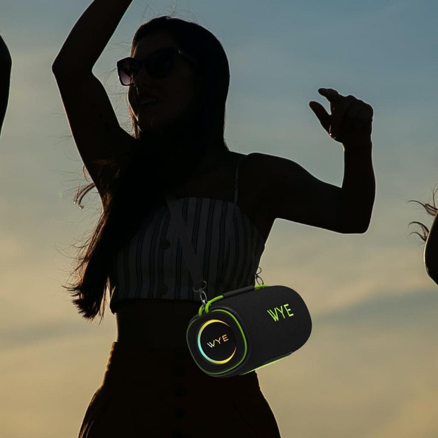 120W High Fidelity Wireless Speaker