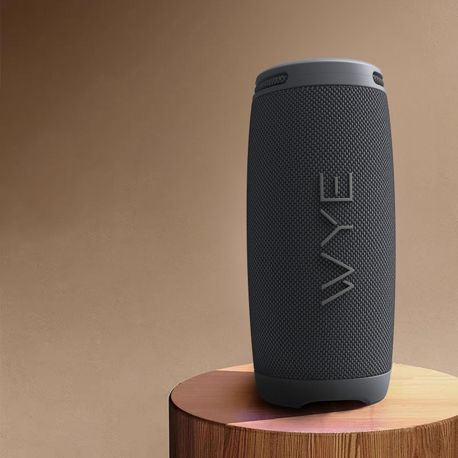 20W ProSound Wireless Speaker