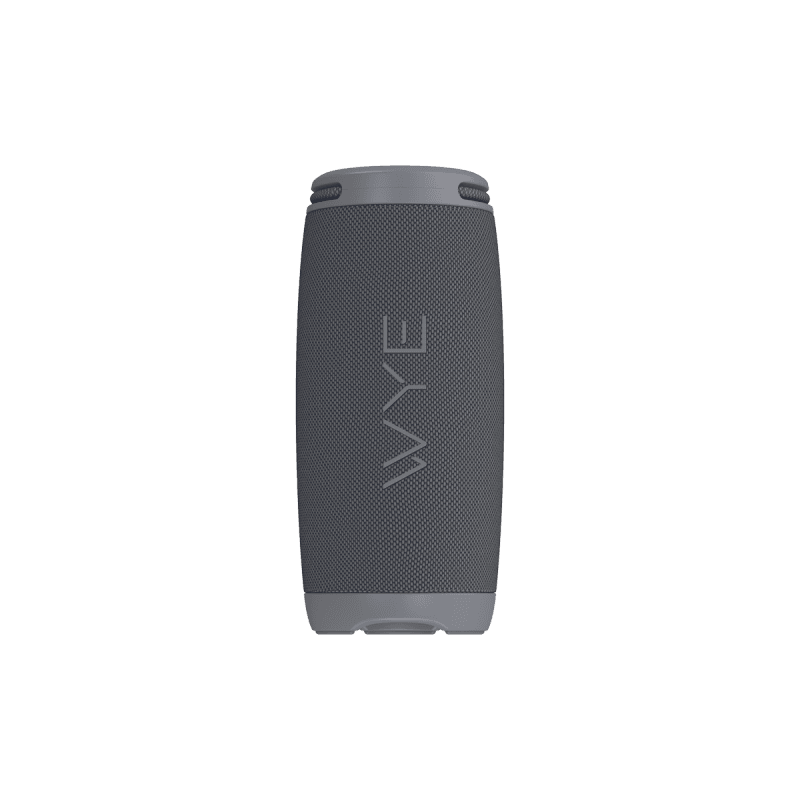 20W ProSound Wireless Speaker